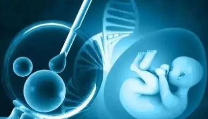 男科专家